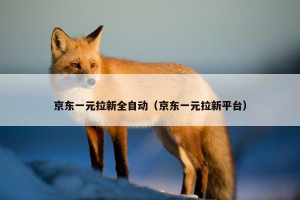 京东一元拉新全自动（京东一元拉新平台）