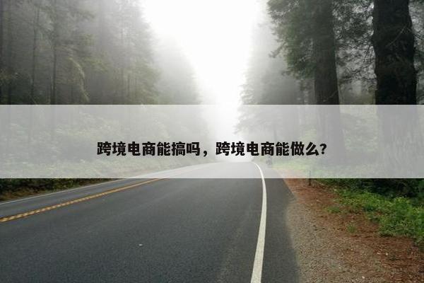 跨境电商能搞吗，跨境电商能做么?