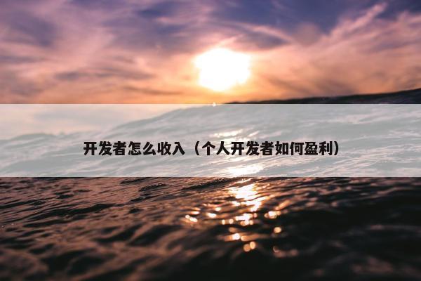 开发者怎么收入（个人开发者如何盈利）