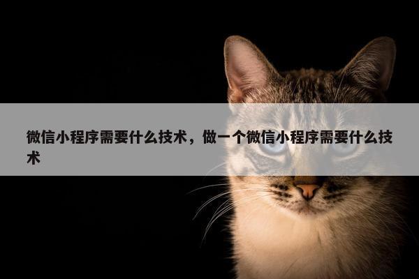 微信小程序需要什么技术，做一个微信小程序需要什么技术
