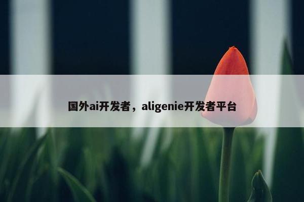 国外ai开发者，aligenie开发者平台
