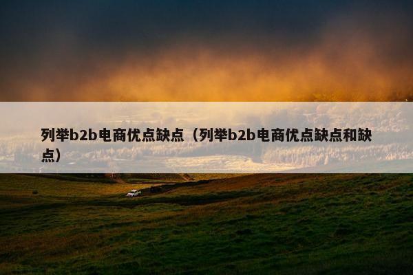 列举b2b电商优点缺点（列举b2b电商优点缺点和缺点）