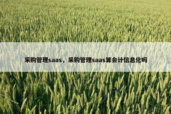 采购管理saas，采购管理saas算会计信息化吗