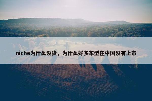 niche为什么没货，为什么好多车型在中国没有上市
