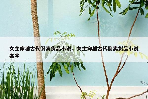 女主穿越古代倒卖货品小说，女主穿越古代倒卖货品小说名字