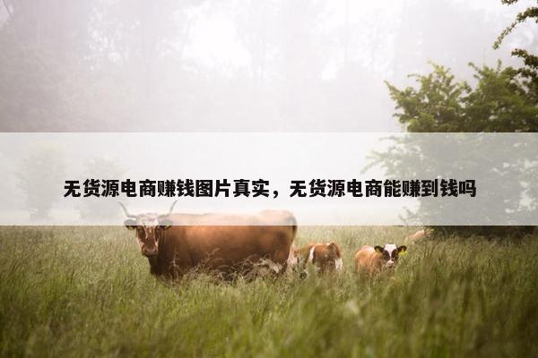 无货源电商赚钱图片真实，无货源电商能赚到钱吗