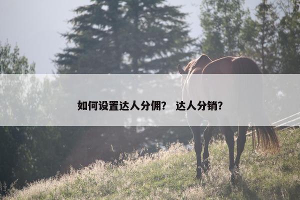 如何设置达人分佣？ 达人分销？