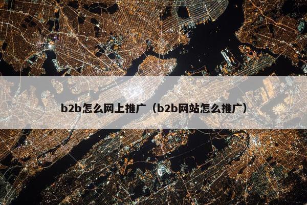 b2b怎么网上推广（b2b网站怎么推广）