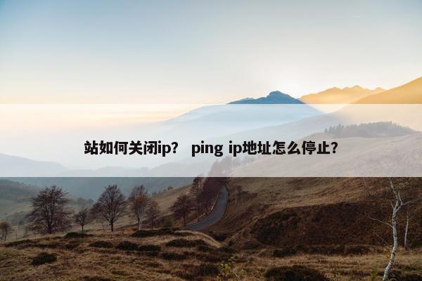 站如何关闭ip？ ping ip地址怎么停止？