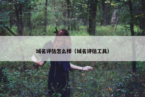 域名评估怎么样（域名评估工具）