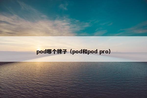 pod哪个牌子（pod和pod pro）