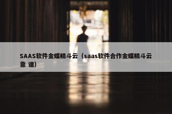 SAAS软件金蝶精斗云（saas软件合作金蝶精斗云靠 谱）