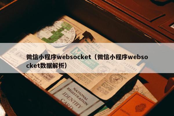 微信小程序websocket（微信小程序websocket数据解析）