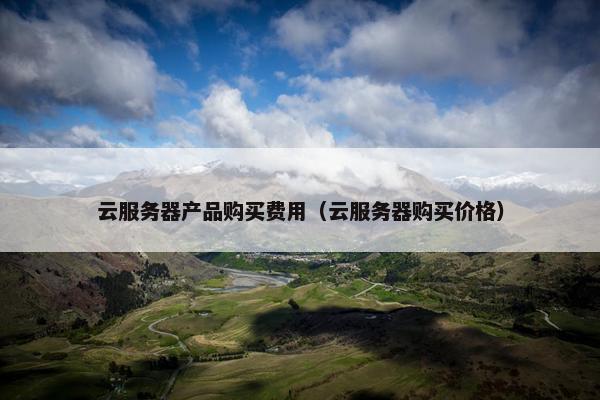 云服务器产品购买费用（云服务器购买价格）