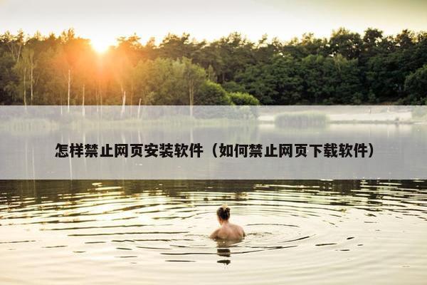 怎样禁止网页安装软件（如何禁止网页下载软件）