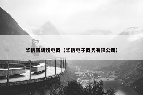 华信智跨境电商（华信电子商务有限公司）