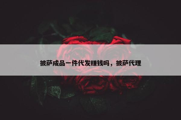 披萨成品一件代发赚钱吗，披萨代理