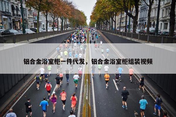 铝合金浴室柜一件代发，铝合金浴室柜组装视频