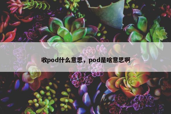收pod什么意思，pod是啥意思啊