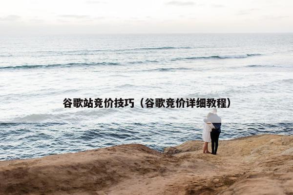 谷歌站竞价技巧（谷歌竞价详细教程）
