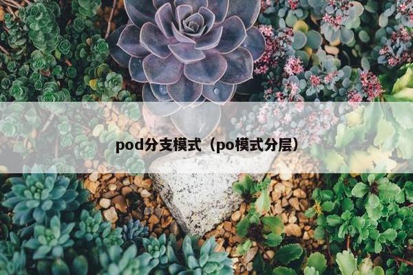 pod分支模式（po模式分层）