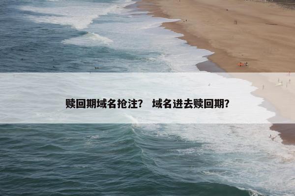 赎回期域名抢注？ 域名进去赎回期？
