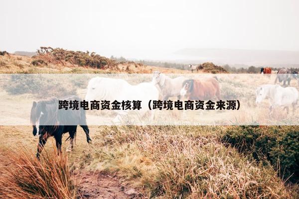 跨境电商资金核算（跨境电商资金来源）