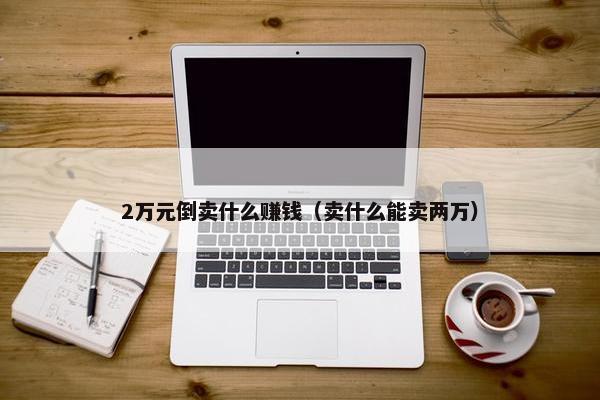 2万元倒卖什么赚钱（卖什么能卖两万）