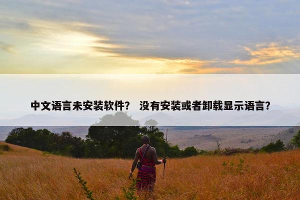 中文语言未安装软件？ 没有安装或者卸载显示语言？