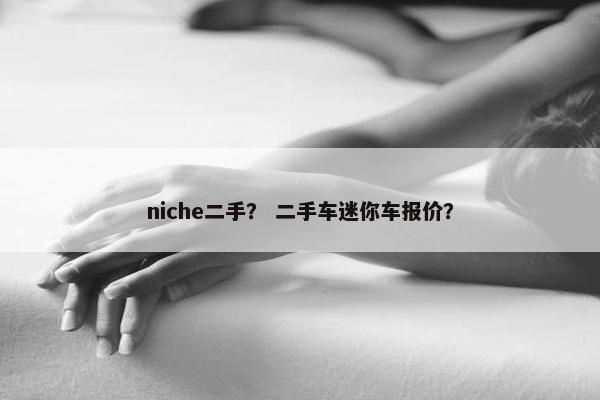 niche二手？ 二手车迷你车报价？