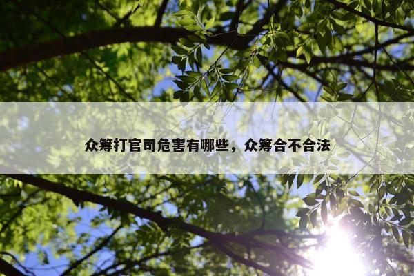 众筹打官司危害有哪些，众筹合不合法