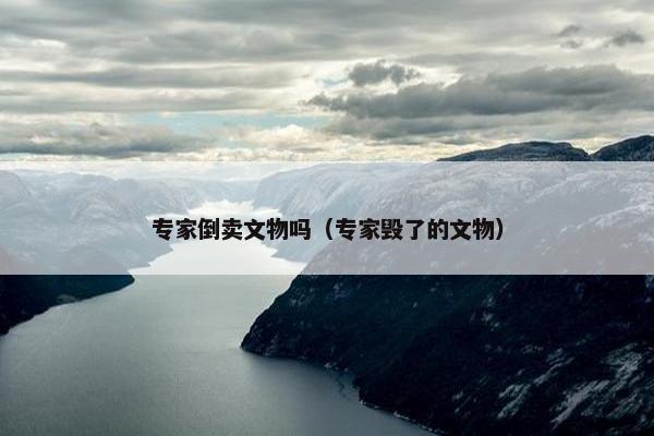 专家倒卖文物吗（专家毁了的文物）