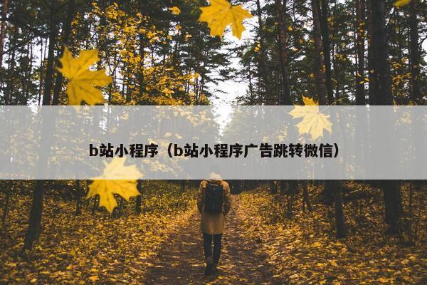 b站小程序（b站小程序广告跳转微信）