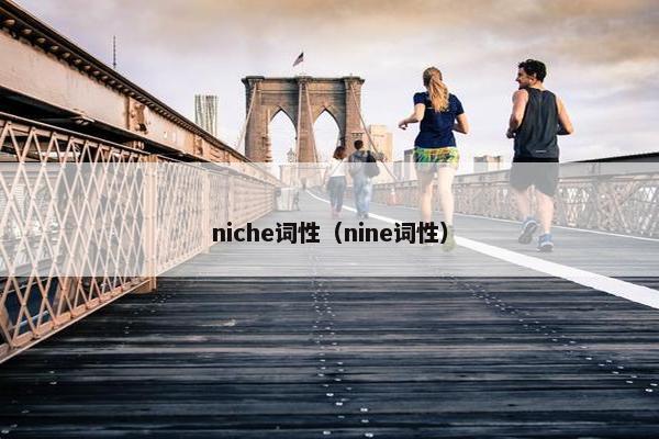 niche词性（nine词性）