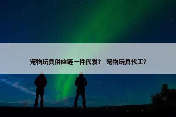 宠物玩具供应链一件代发？ 宠物玩具代工？