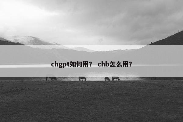 chgpt如何用？ chb怎么用？