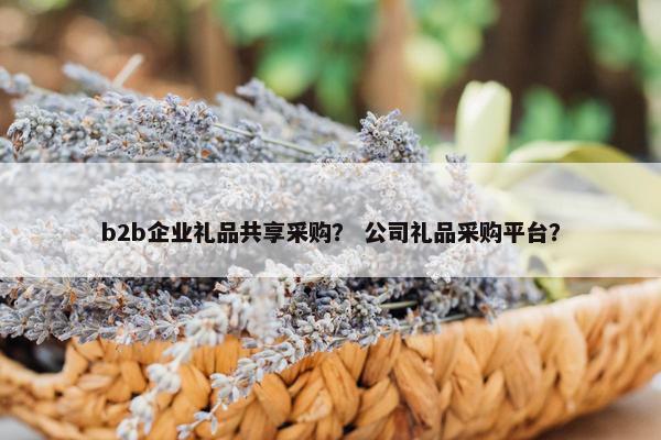 b2b企业礼品共享采购？ 公司礼品采购平台？