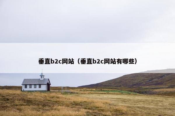 垂直b2c网站（垂直b2c网站有哪些）
