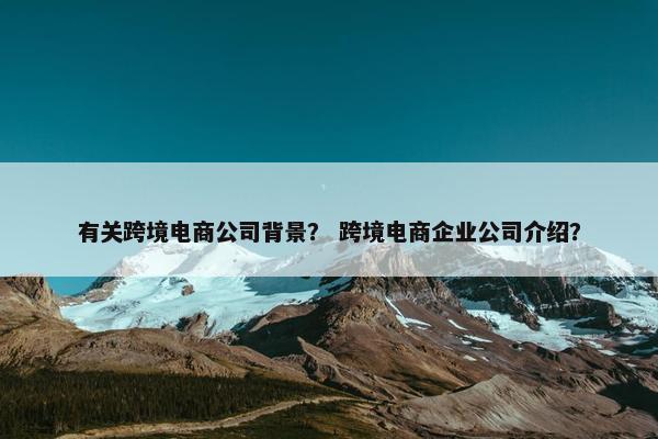 有关跨境电商公司背景？ 跨境电商企业公司介绍？