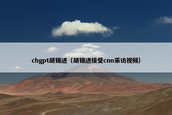 chgpt胡锡进（胡锡进接受cnn采访视频）