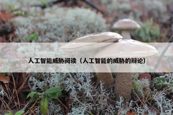 人工智能威胁阅读（人工智能的威胁的辩论）