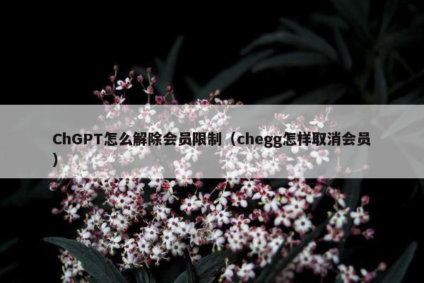 ChGPT怎么解除会员限制（chegg怎样取消会员）