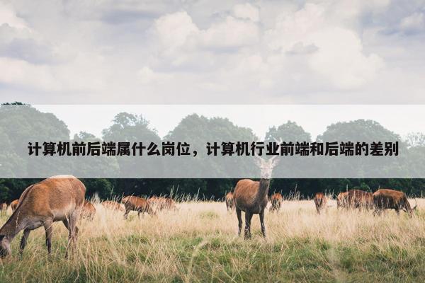 计算机前后端属什么岗位，计算机行业前端和后端的差别