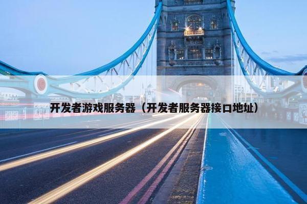 开发者游戏服务器（开发者服务器接口地址）