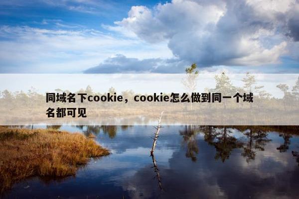 同域名下cookie，cookie怎么做到同一个域名都可见