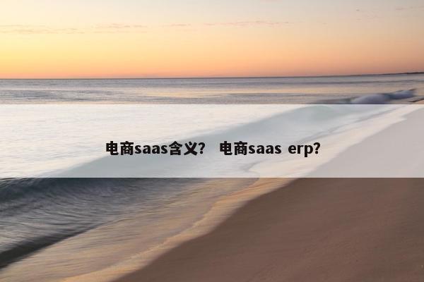 电商saas含义？ 电商saas erp？