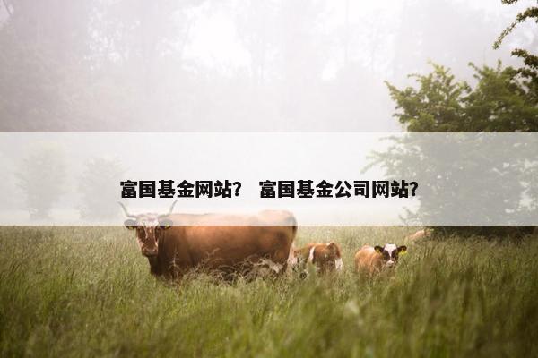 富国基金网站？ 富国基金公司网站？