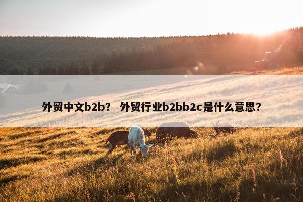 外贸中文b2b？ 外贸行业b2bb2c是什么意思？