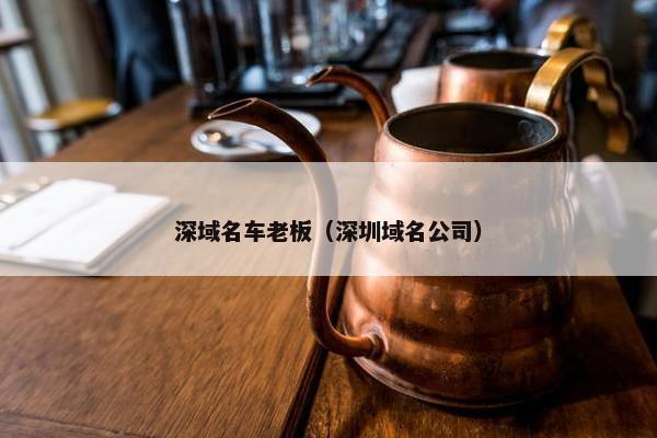 深域名车老板（深圳域名公司）