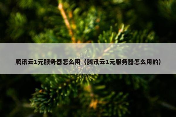 腾讯云1元服务器怎么用（腾讯云1元服务器怎么用的）